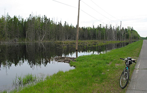 Aroostook National Wildlife Refuge by Bill Sheehan