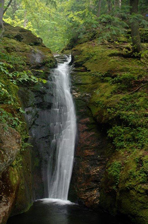 Morrison Brook, Caribou-Speckled Wilderness, by Tony Marple