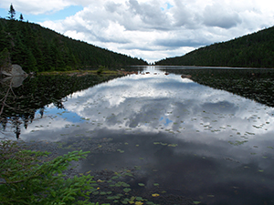 Speck Pond, near the top of Old Speck Mountain by Linda Woods