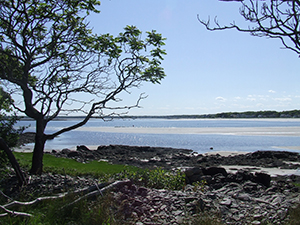 Timber Point at Rachel Carson National Wildlife Refuge