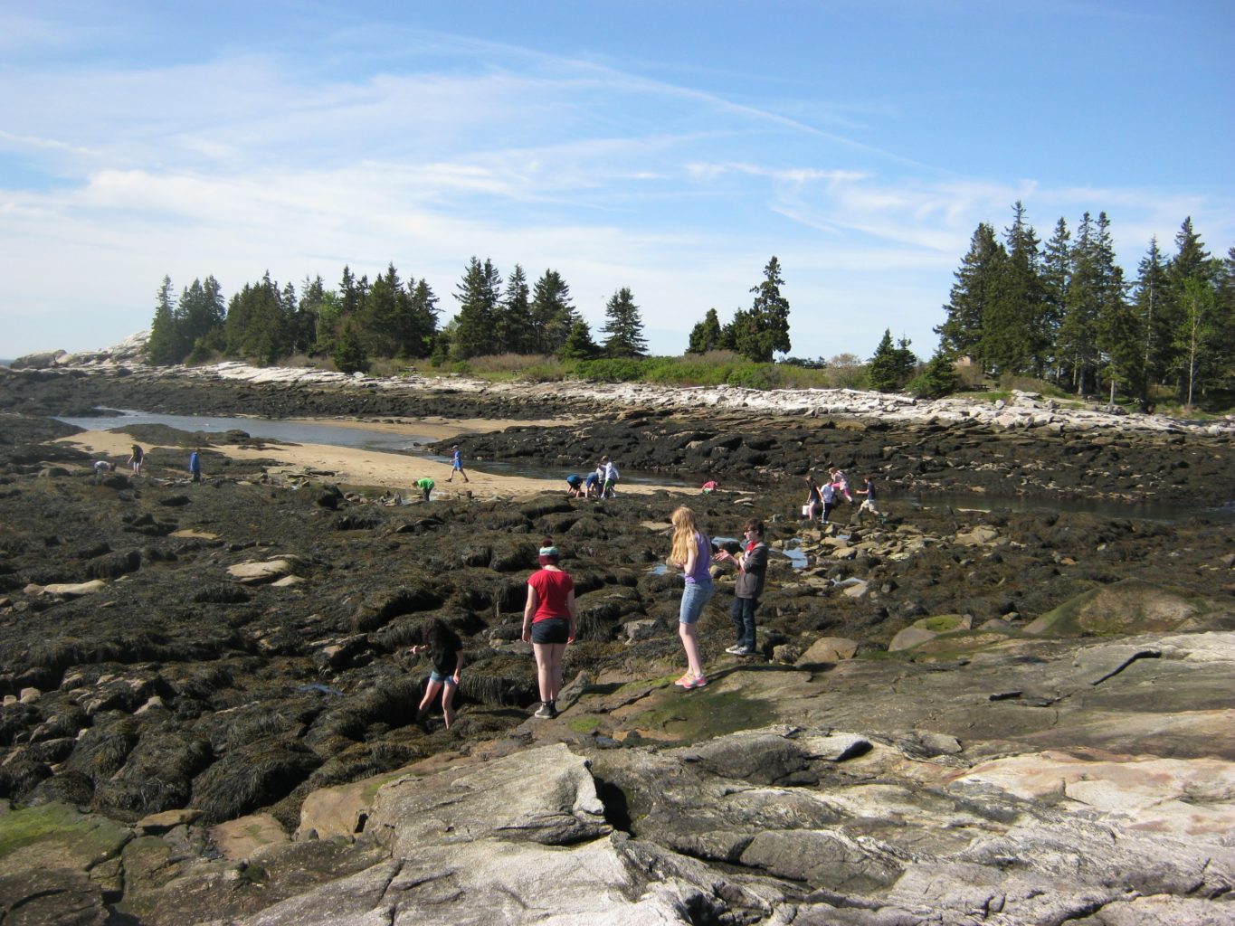 collecting crab data 