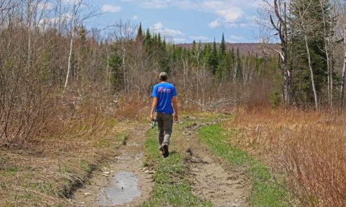 Heading to Fifth Pond