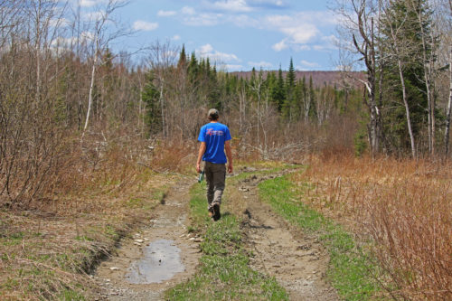 Heading to Fifth Pond