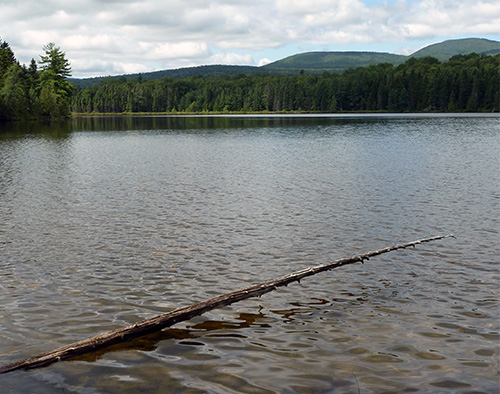 Little Messer Pond