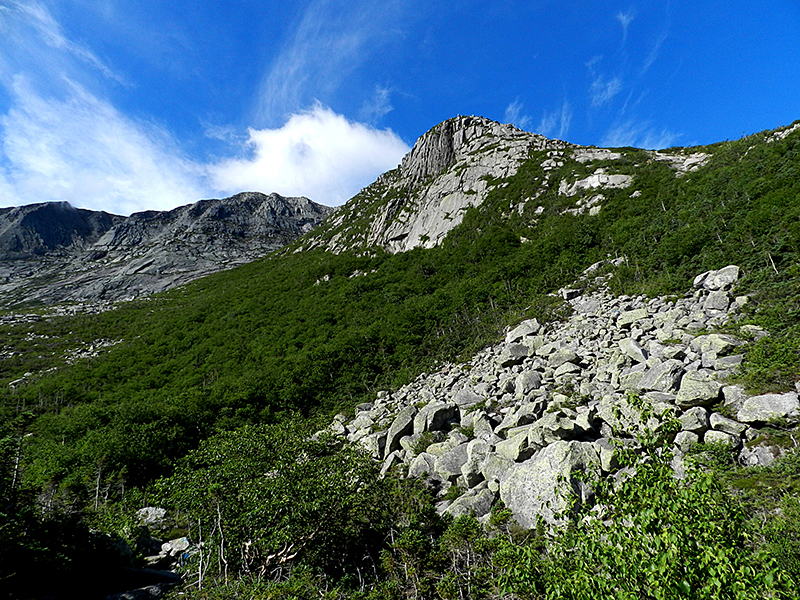 Looking up the Cathedral Trail Katahdin BSP Kevin Hardwick