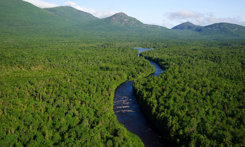 Maine North Woods