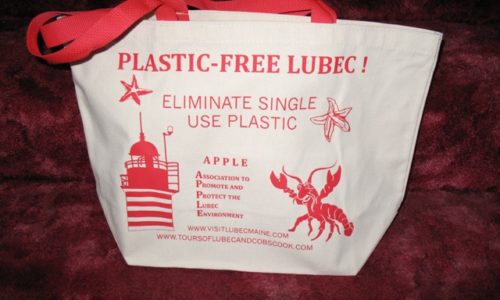 Plastic-free Lubec bag