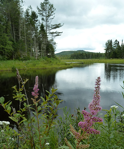 pond on national monument land