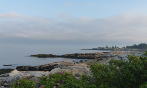 Schoodic evening by Kathleen Lafferty