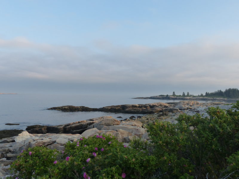 Schoodic evening by Kathleen Lafferty