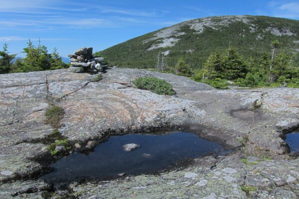 Top of Bald Pate Mountain