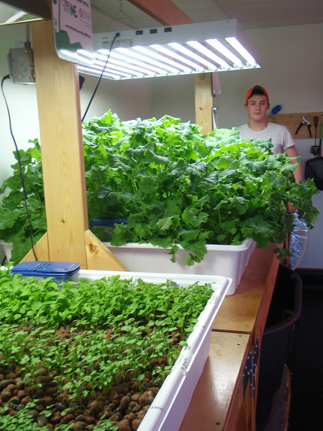 NAE Academy students working on their Aquaponics system