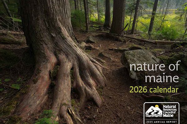 tree and forest with text Nature of Maine calendar