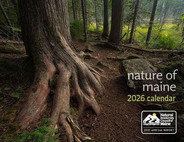 tree and forest with text Nature of Maine calendar