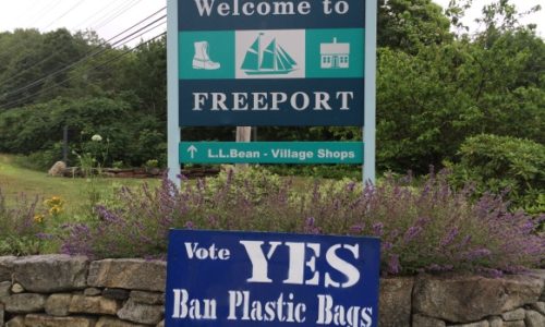 Freeport bag ban