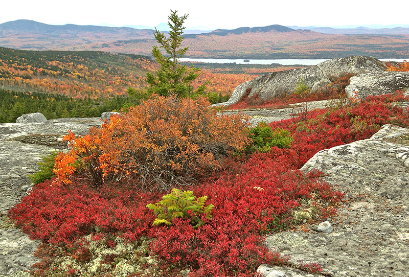 Moxie Bald Mt. October, 2016 