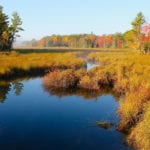 Mud Pond Outlet