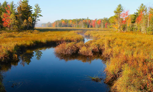 Mud Pond Outlet