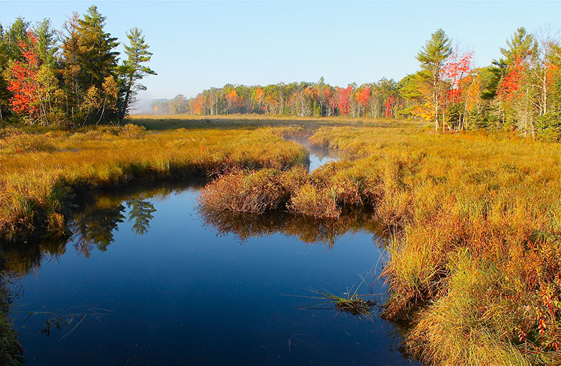 Mud Pond Outlet