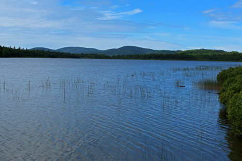 Munsungen Lake
