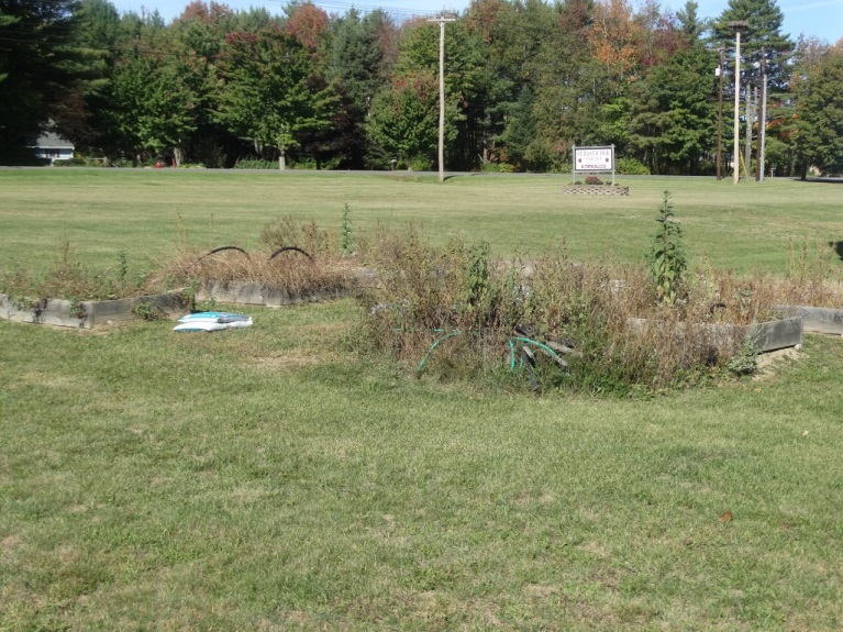 raised beds in front of the school