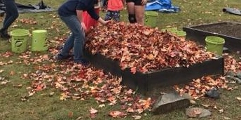 covering beds with leaves