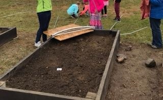 Raised beds