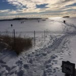 Popham Beach in winter by Diane Schetky