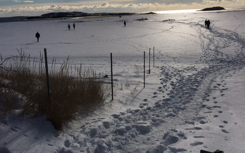 Popham Beach in winter by Diane Schetky