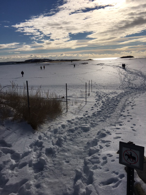 Popham Beach in winter by Diane Schetky