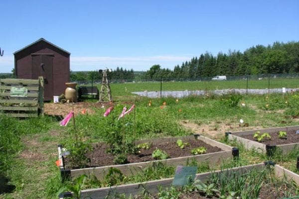 Presque Isle community garden