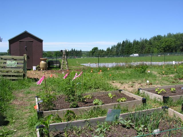 Presque Isle community garden
