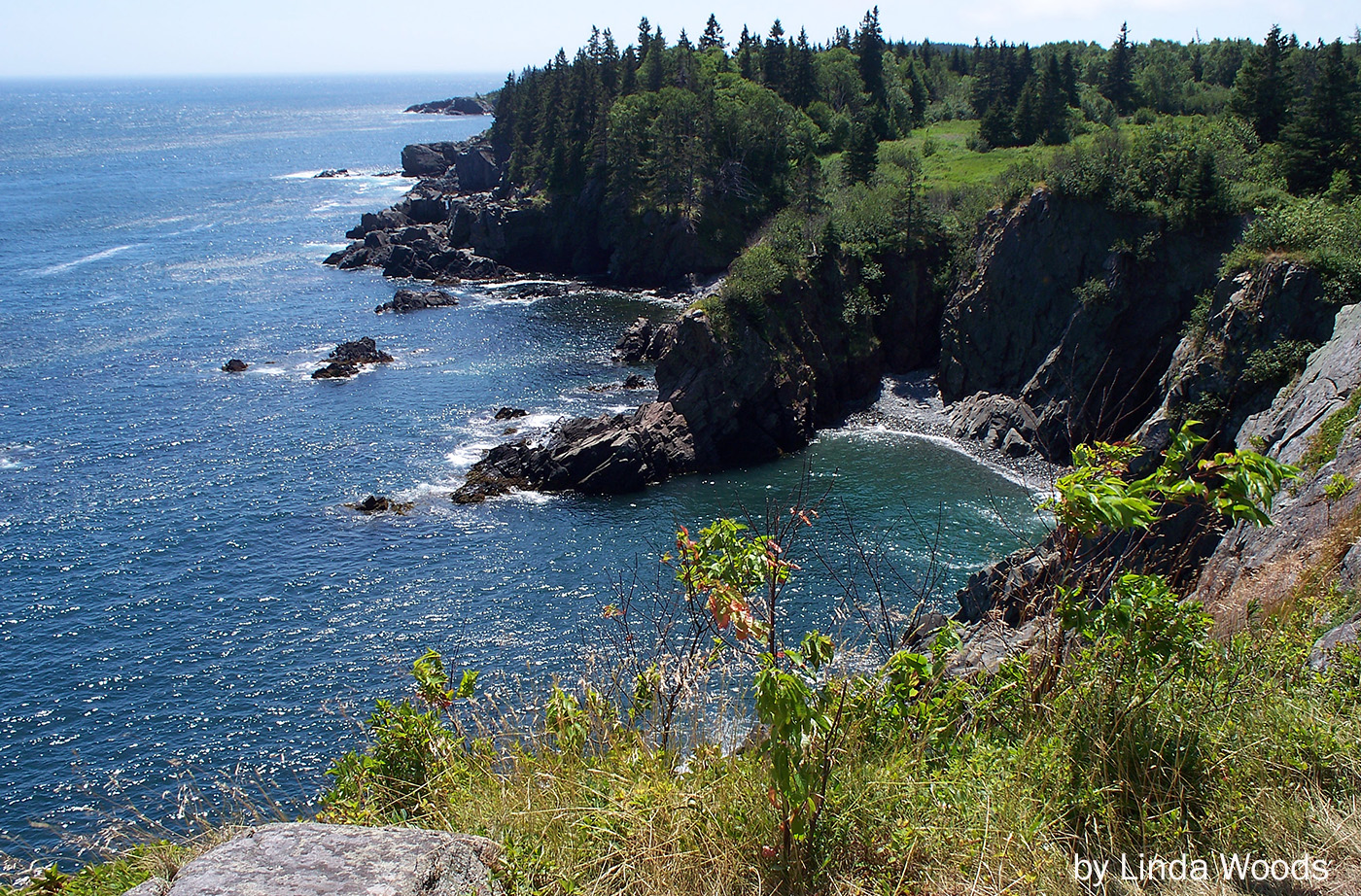 Cutler Coast by Linda Woods