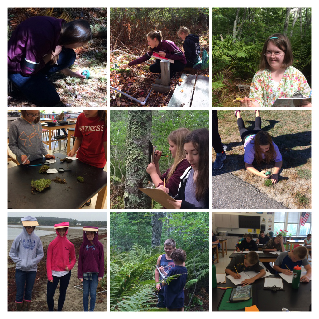 students at Deer Isle Stonington