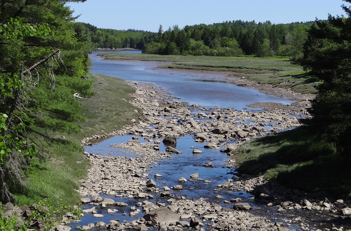 Dennys River