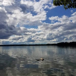 Kimball Pond by Rod Hiltz