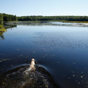 Knight's Pond Preserve by Karen Herold