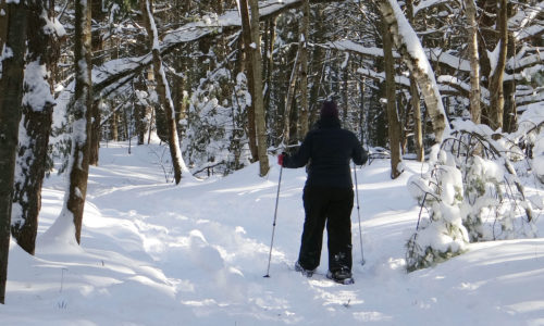 snowshoeing on Brunswick Commons