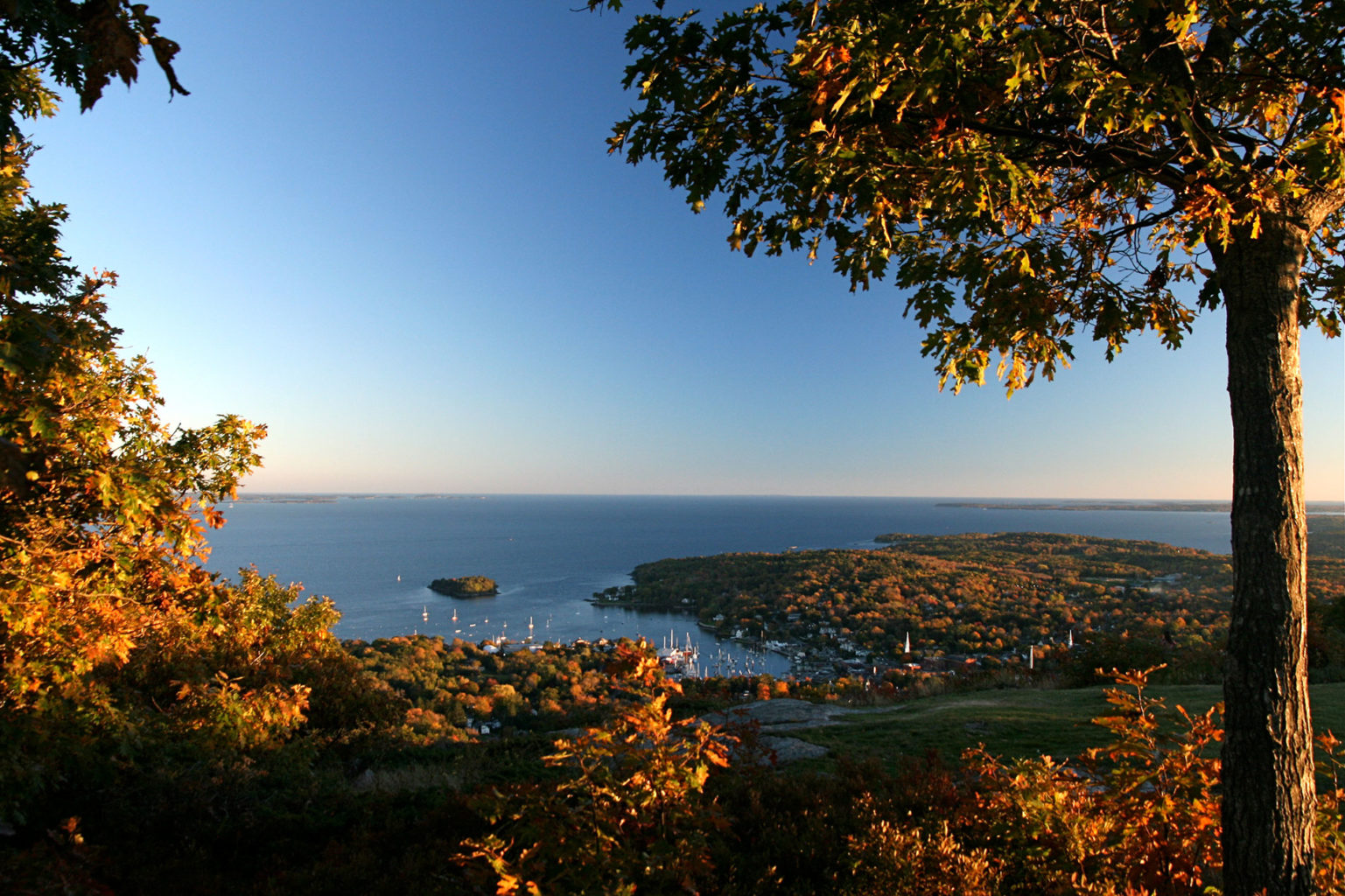 are dogs allowed mount battie maine