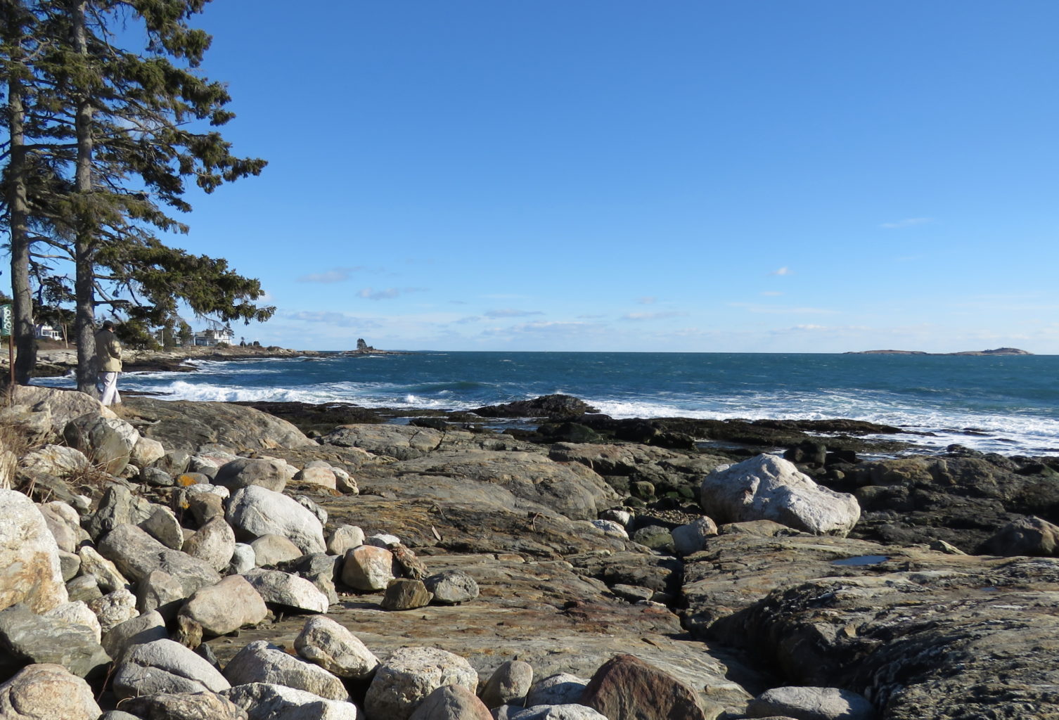 Ocean Point East Boothbay Jayne Winters