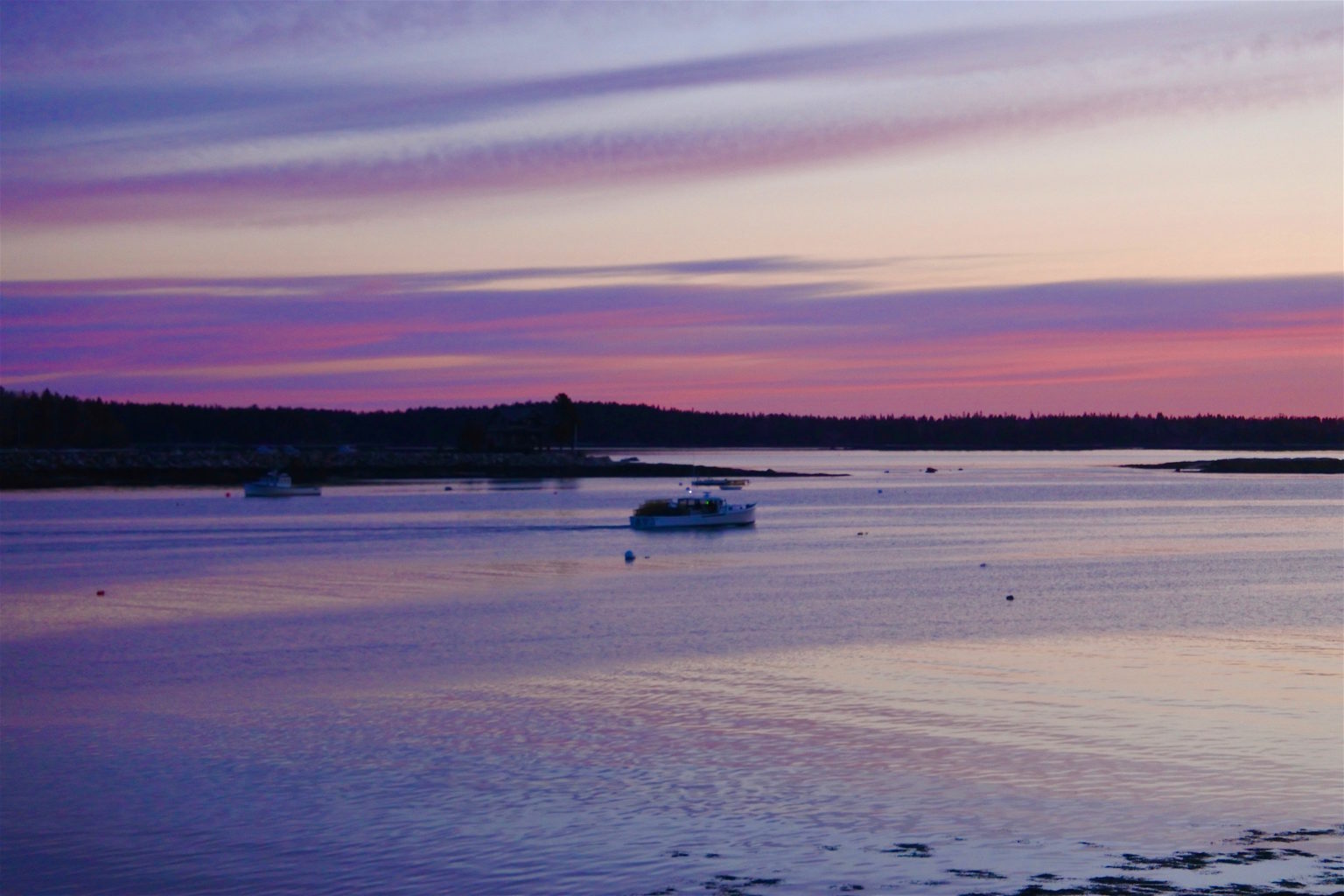 Heading out to set traps, Tenants Harbor, Maine