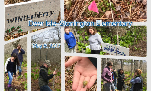 Deer Isle Stonington students collage 2017