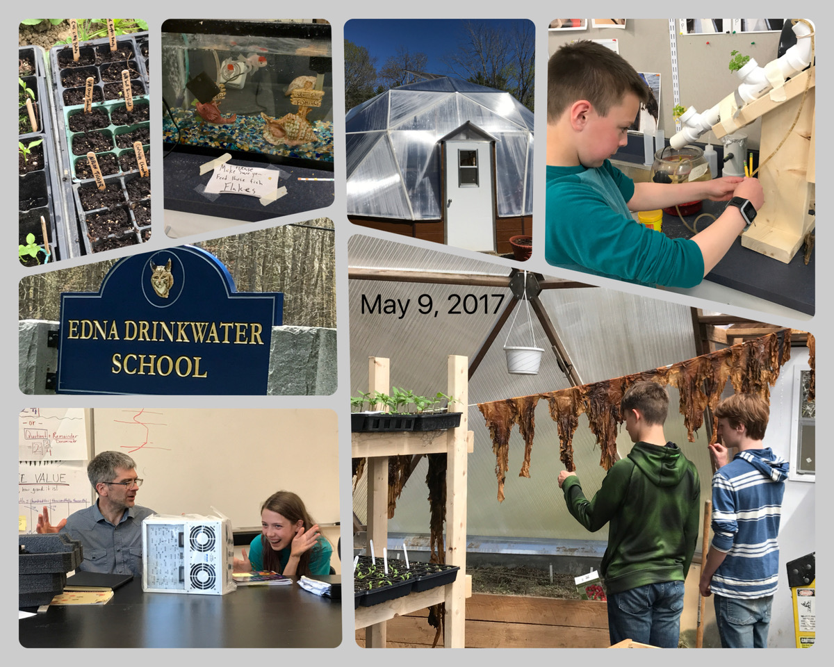 Edna Drinkwater School collage 2017