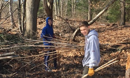 Gorham Middle School students tackle invasive species