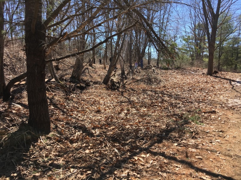 Gorham Middle School students tackle invasive species