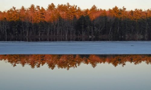 ice out on Dyer Long Pond