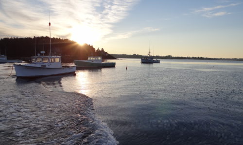 sunrise and lobster boats in Potts Harbor, South Harpswell, Maine