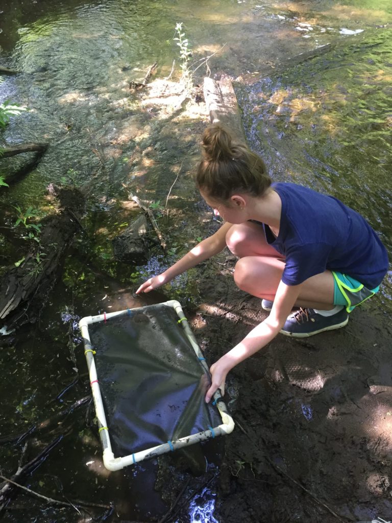 Camden-Rockport School studying Maine's environment