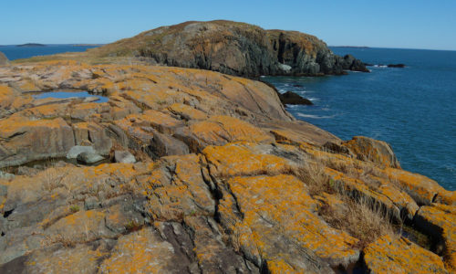 Brothers Island off the Down East coast of Maine (Jonesport)