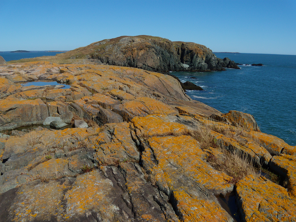 Brothers Island off the Down East coast of Maine (Jonesport) by Tom Meredith